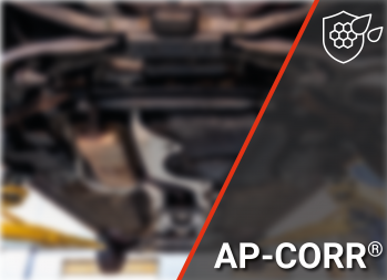 Associated Press - Correction