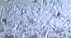KTL damaged by falling rocks