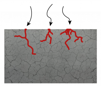 Stress corrosion cracking at grain boundaries
