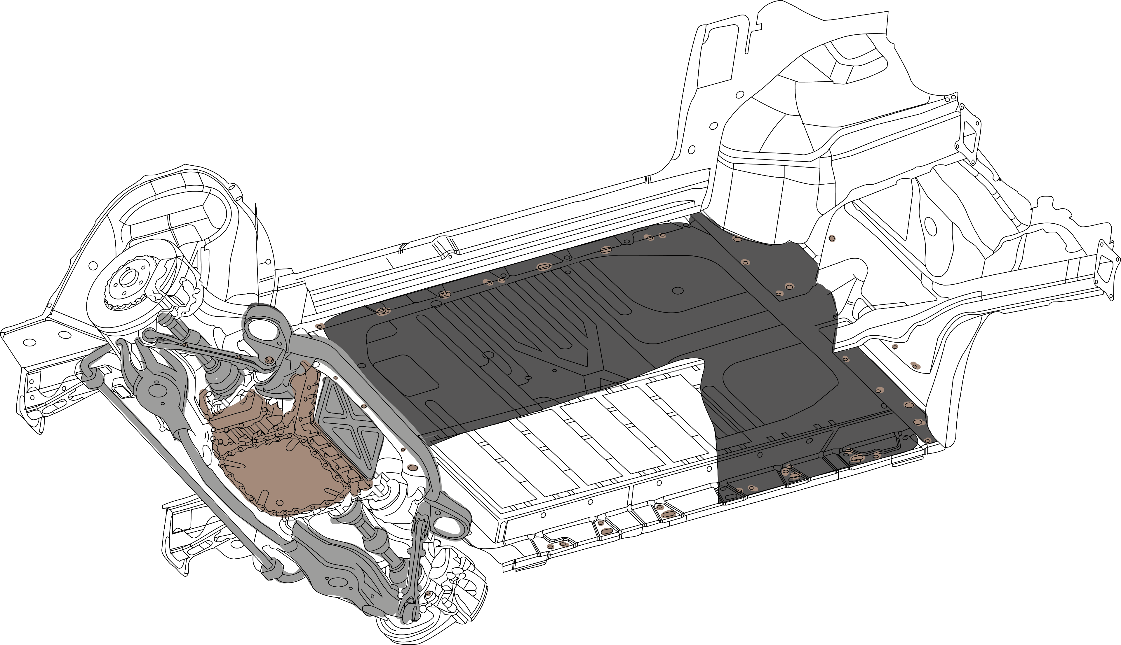 Interactive body structure graphic with highlighted application areas